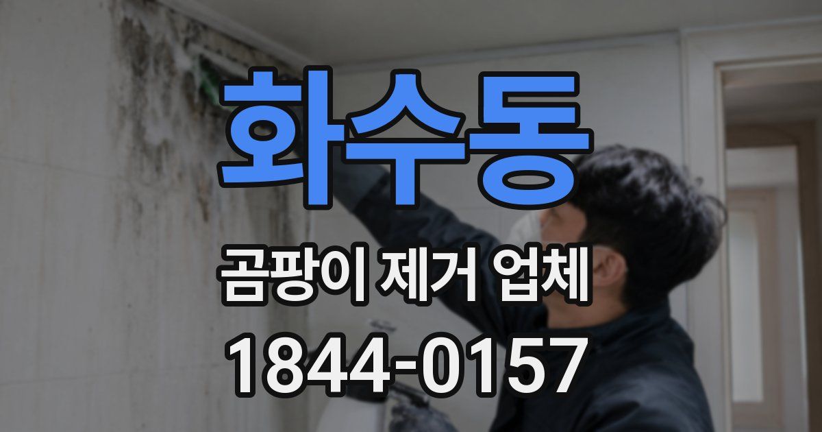 화수동 곰팡이 제거 업체