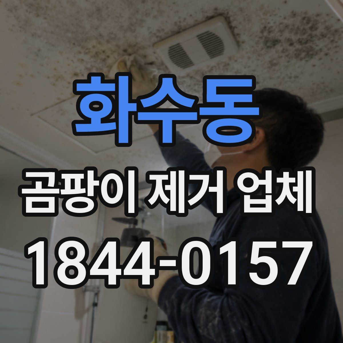 화수동 곰팡이 제거 업체