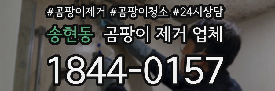 송현동 곰팡이 제거 업체