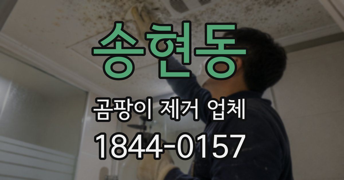 송현동 곰팡이 제거 업체