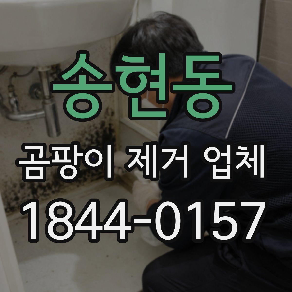 송현동 곰팡이 제거 업체