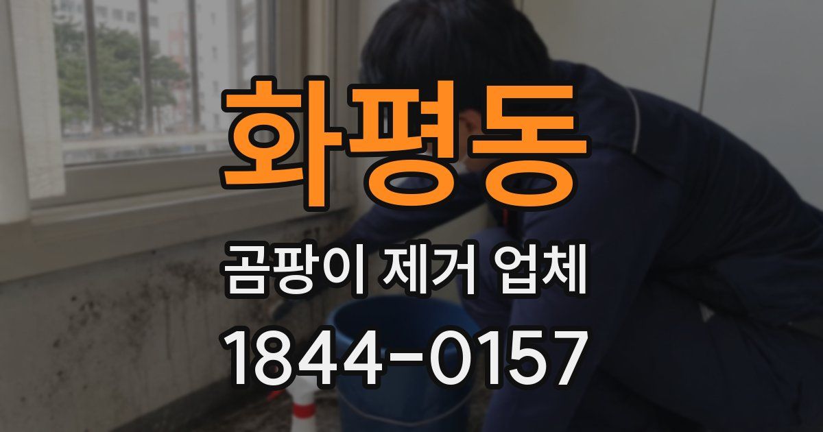 화평동 곰팡이 제거 업체