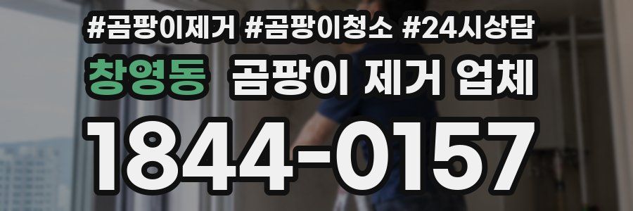 창영동 곰팡이 제거 업체