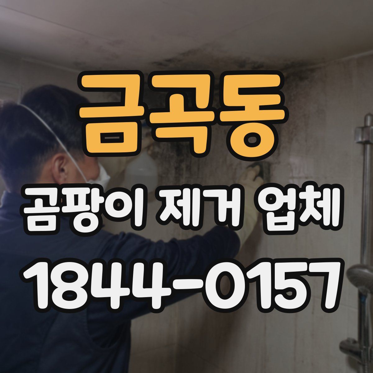 금곡동 곰팡이 제거 업체