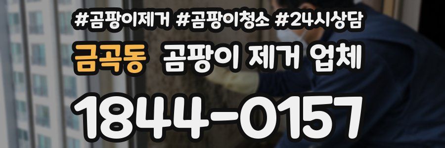 금곡동 곰팡이 제거 업체