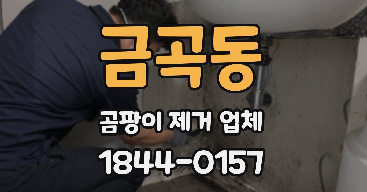 금곡동 곰팡이 제거 업체