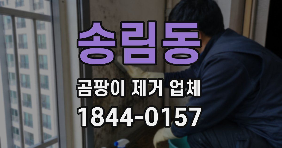 송림동 곰팡이 제거 업체