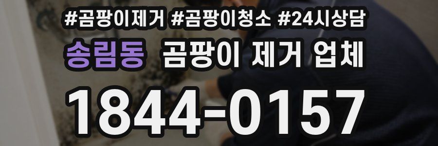 송림동 곰팡이 제거 업체