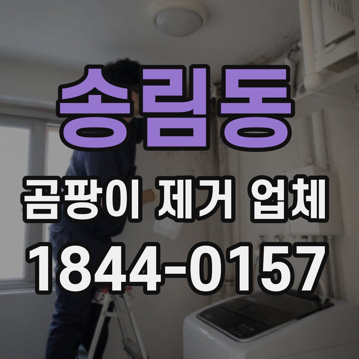 송림동 곰팡이 제거 업체
