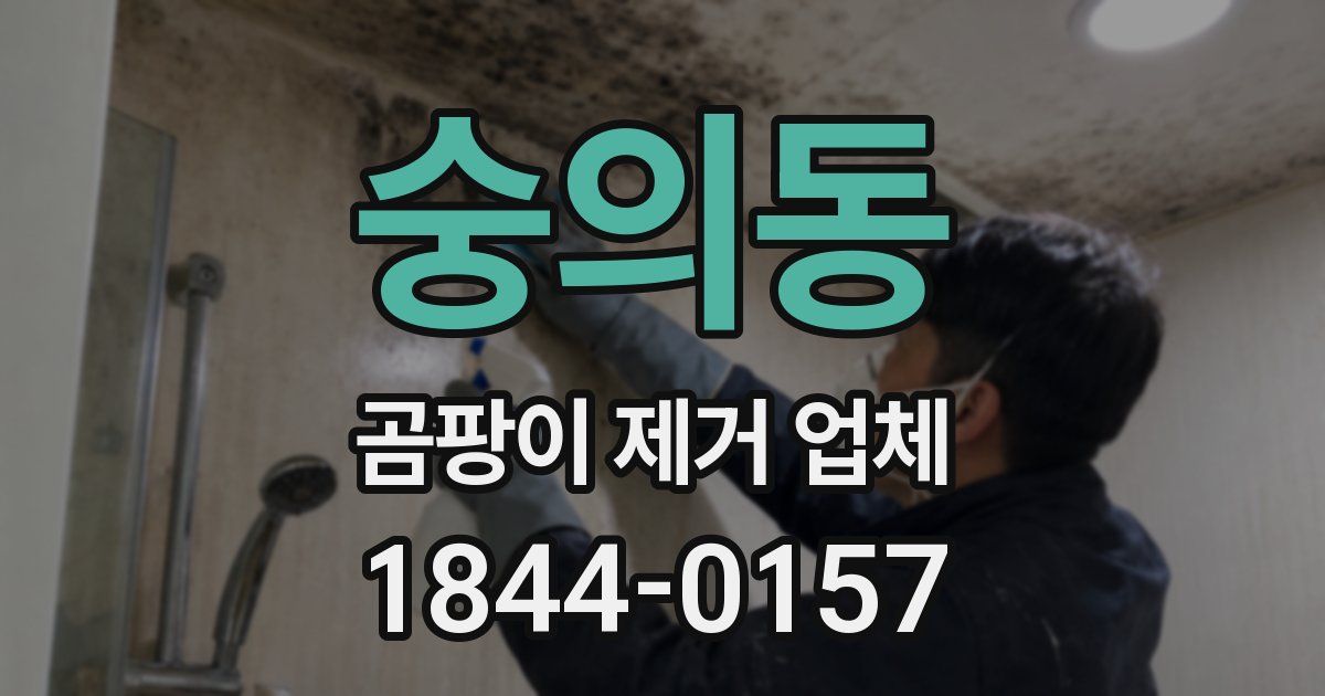 숭의동 곰팡이 제거 업체