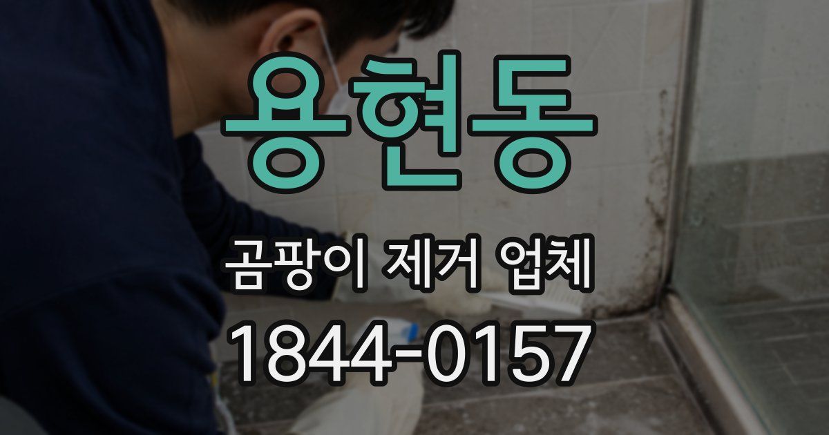 용현동 곰팡이 제거 업체