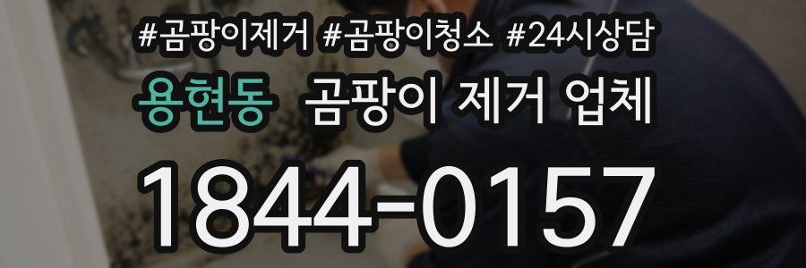 용현동 곰팡이 제거 업체