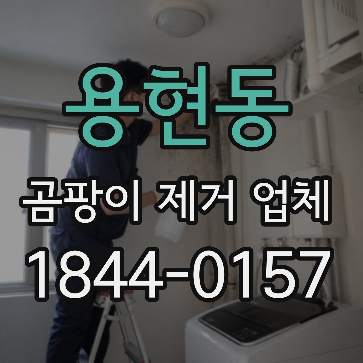 용현동 곰팡이 제거 업체