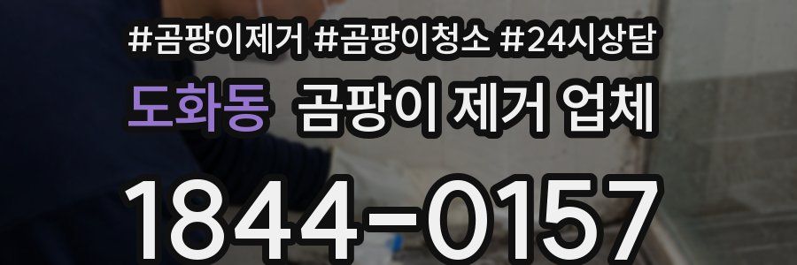 도화동 곰팡이 제거 업체