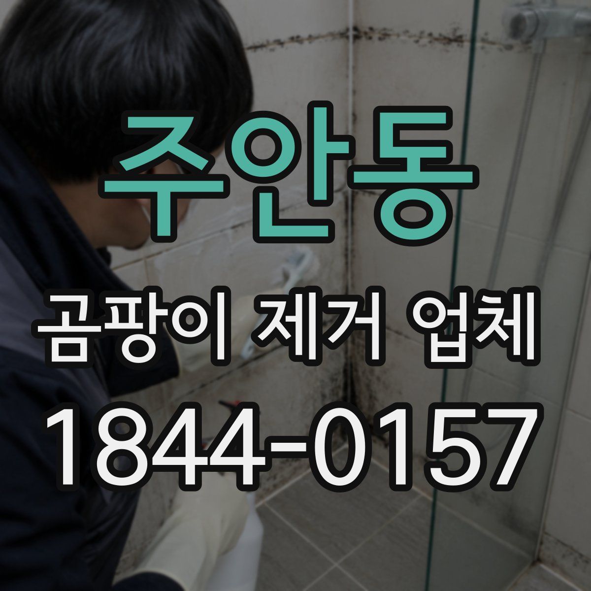 주안동 곰팡이 제거 업체