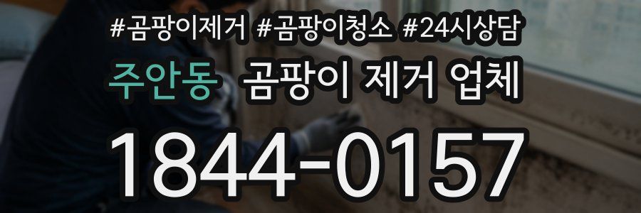 주안동 곰팡이 제거 업체