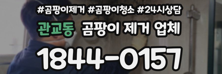 관교동 곰팡이 제거 업체