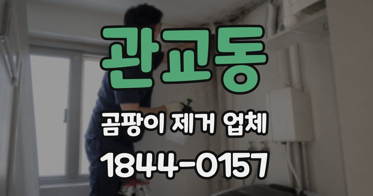 관교동 곰팡이 제거 업체