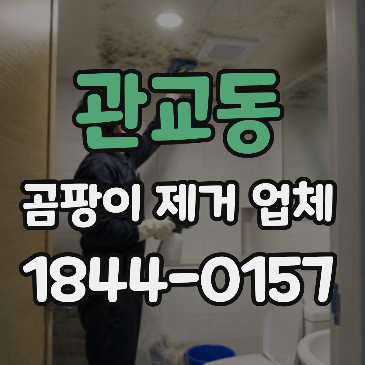 관교동 곰팡이 제거 업체