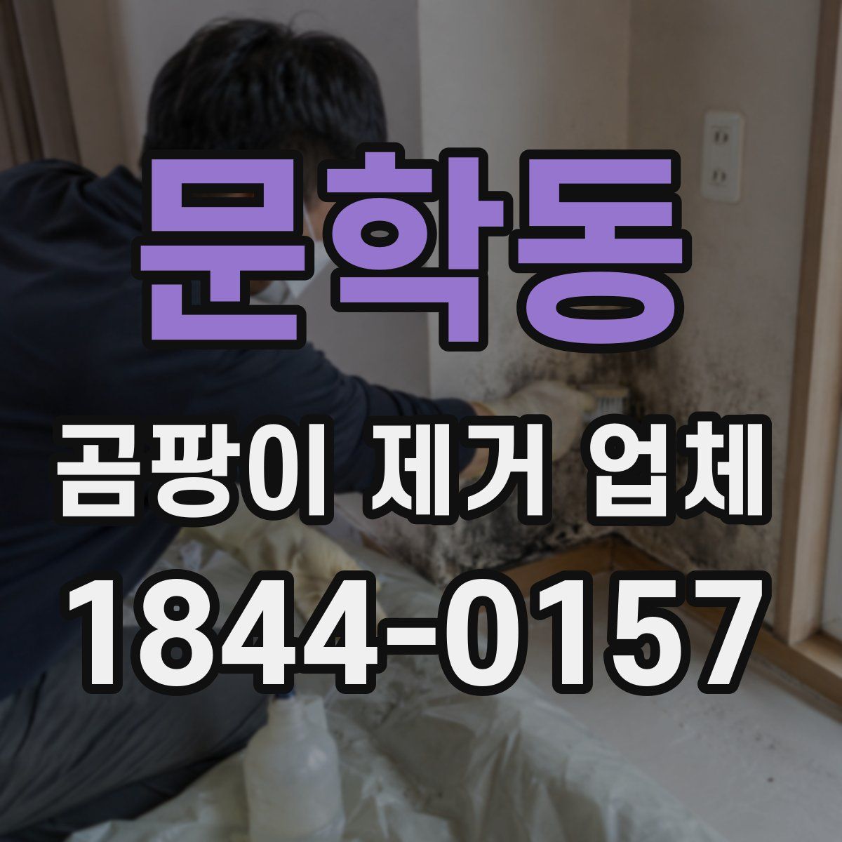 문학동 곰팡이 제거 업체
