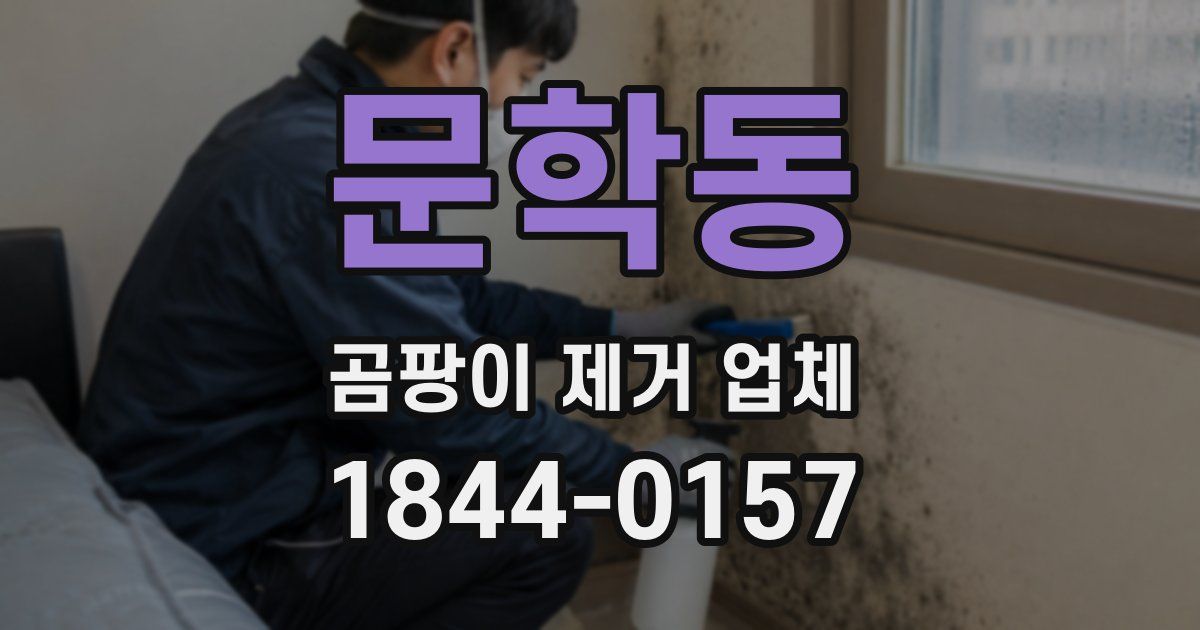 문학동 곰팡이 제거 업체