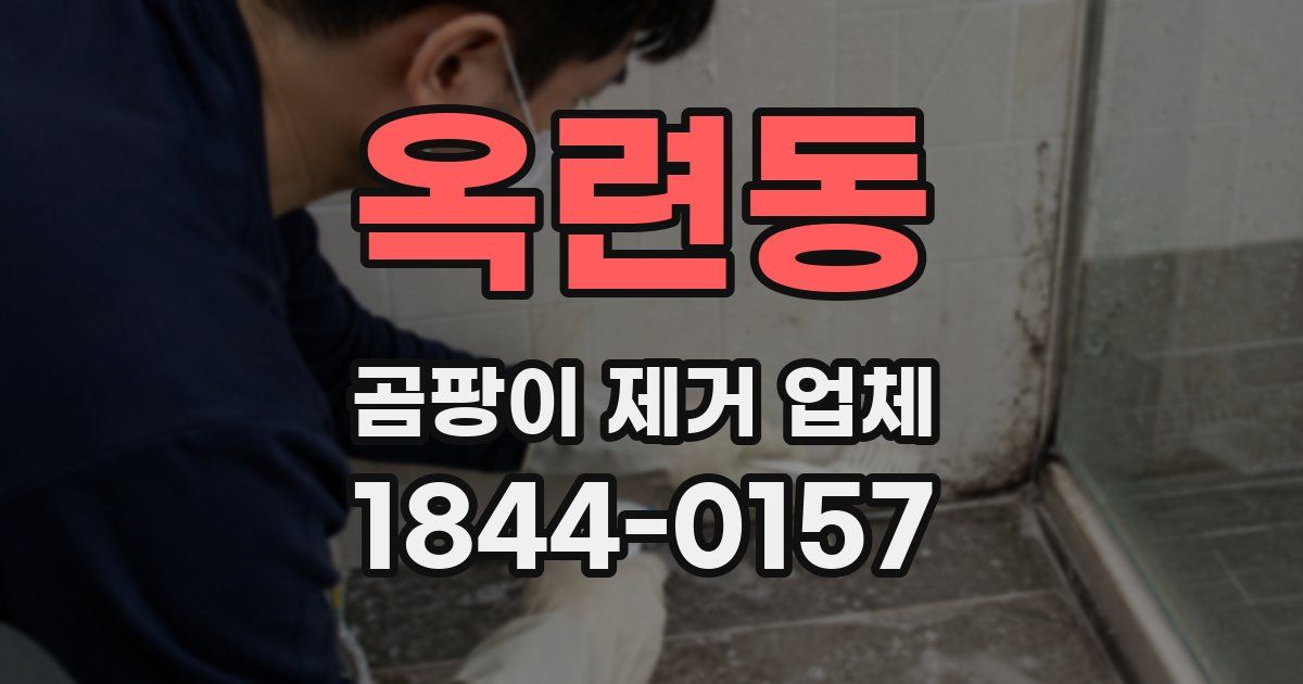 옥련동 곰팡이 제거 업체