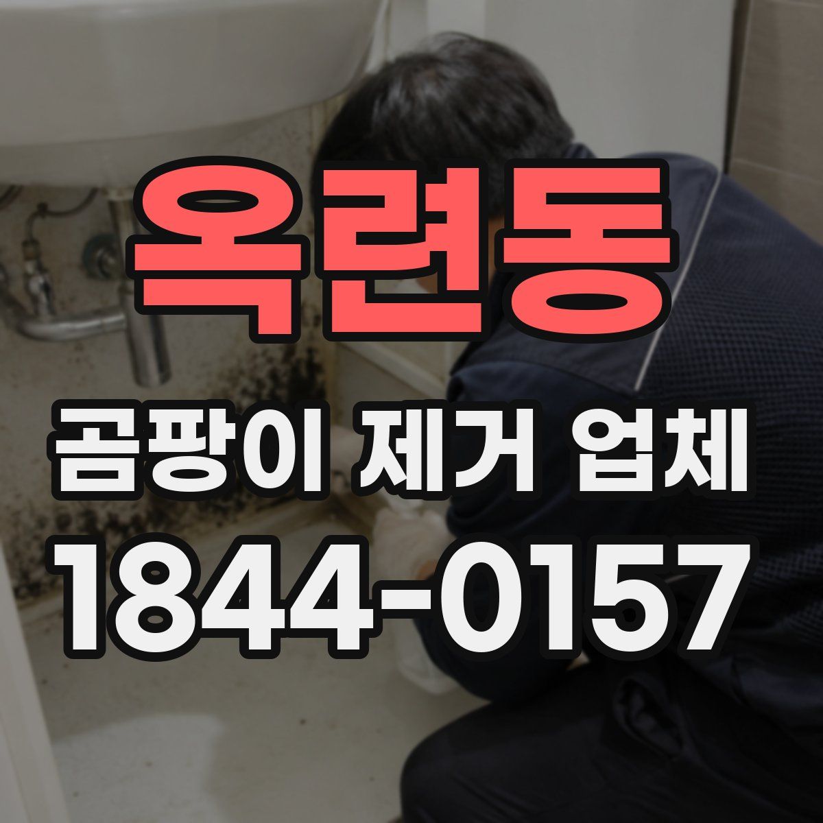 옥련동 곰팡이 제거 업체