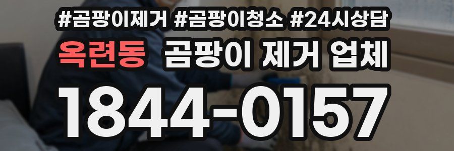옥련동 곰팡이 제거 업체