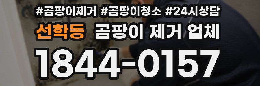 선학동 곰팡이 제거 업체