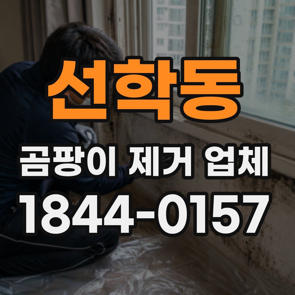 선학동 곰팡이 제거 업체