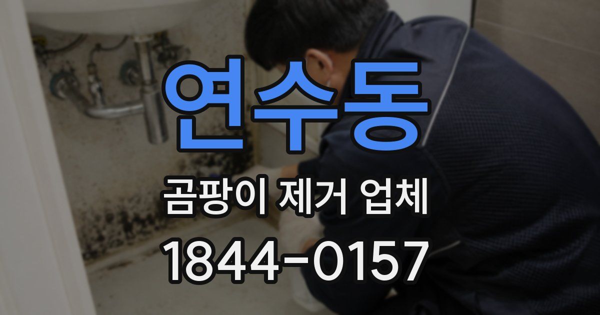 연수동 곰팡이 제거 업체