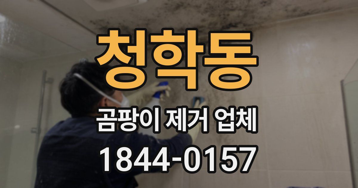 청학동 곰팡이 제거 업체
