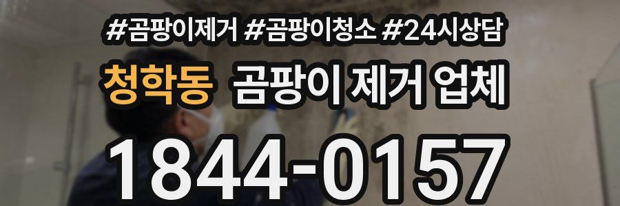 청학동 곰팡이 제거 업체