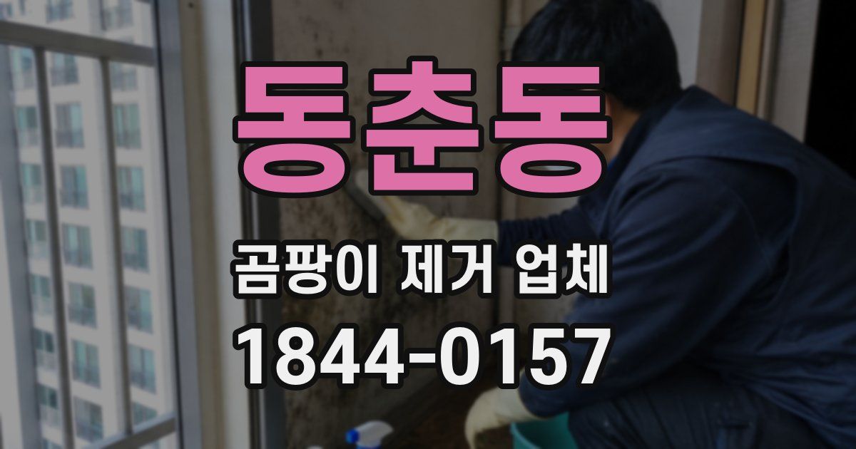 동춘동 곰팡이 제거 업체