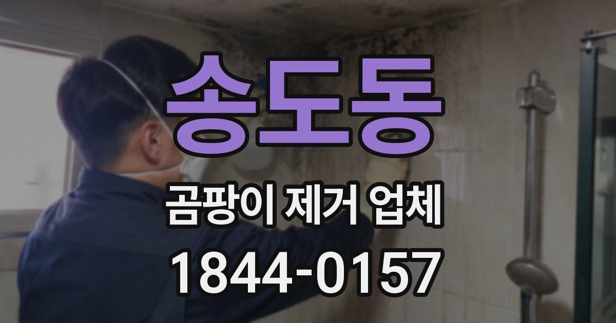 송도동 곰팡이 제거 업체
