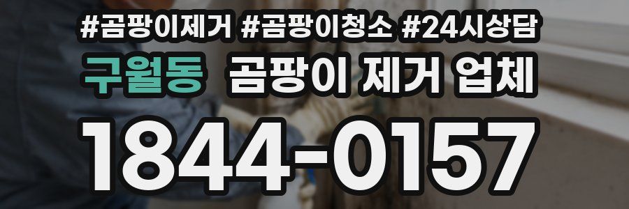 구월동 곰팡이 제거 업체