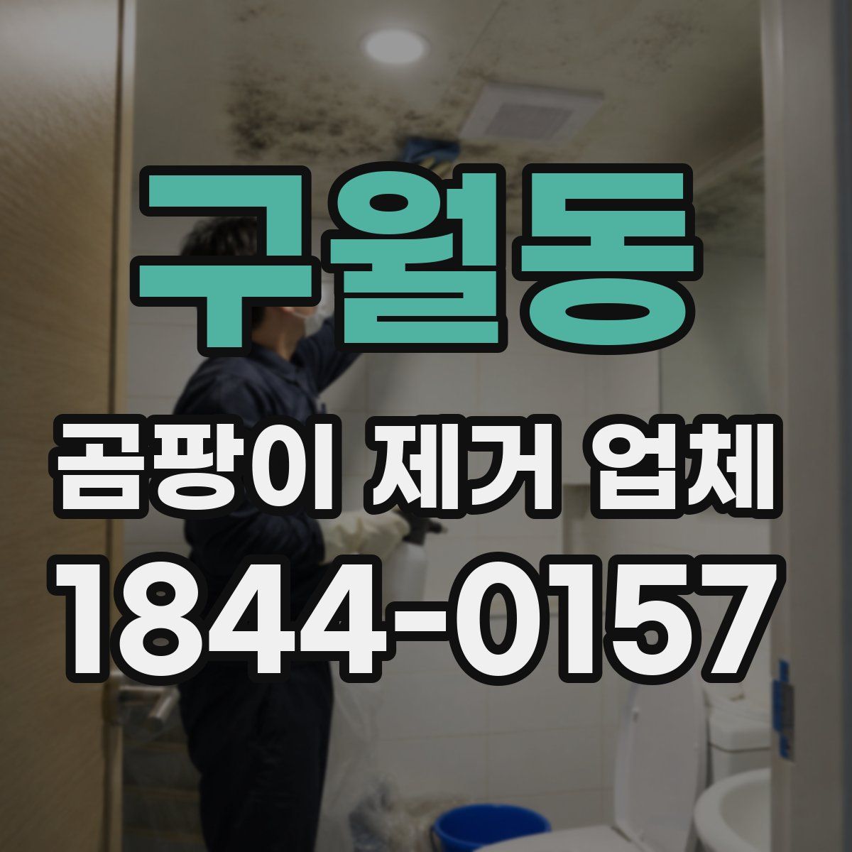 구월동 곰팡이 제거 업체