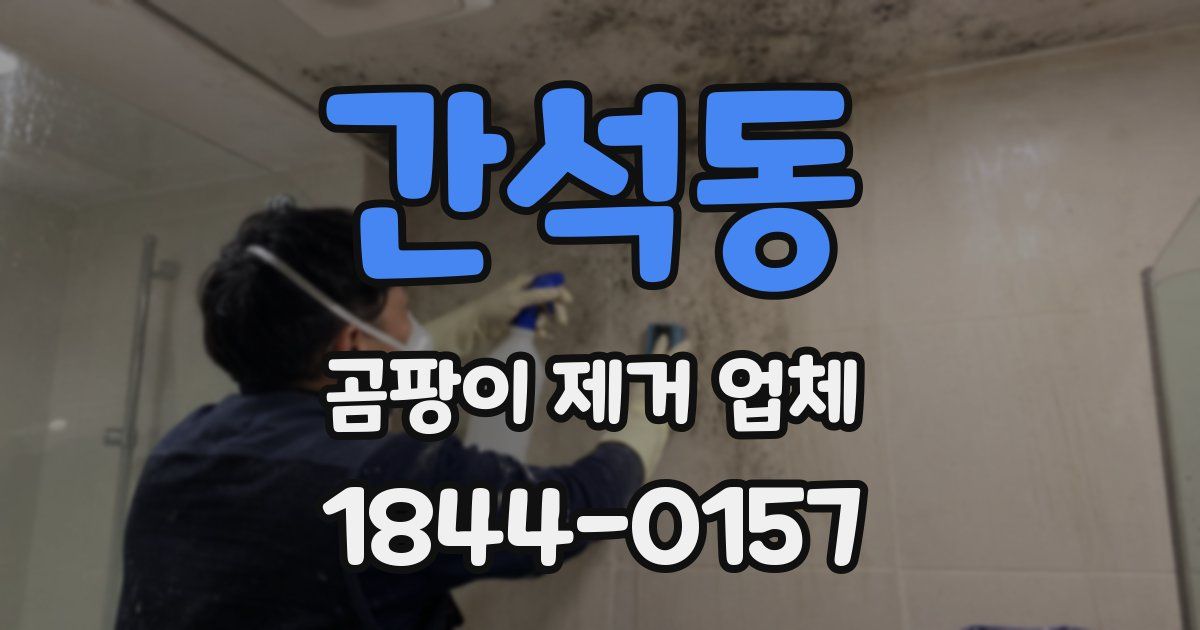 간석동 곰팡이 제거 업체