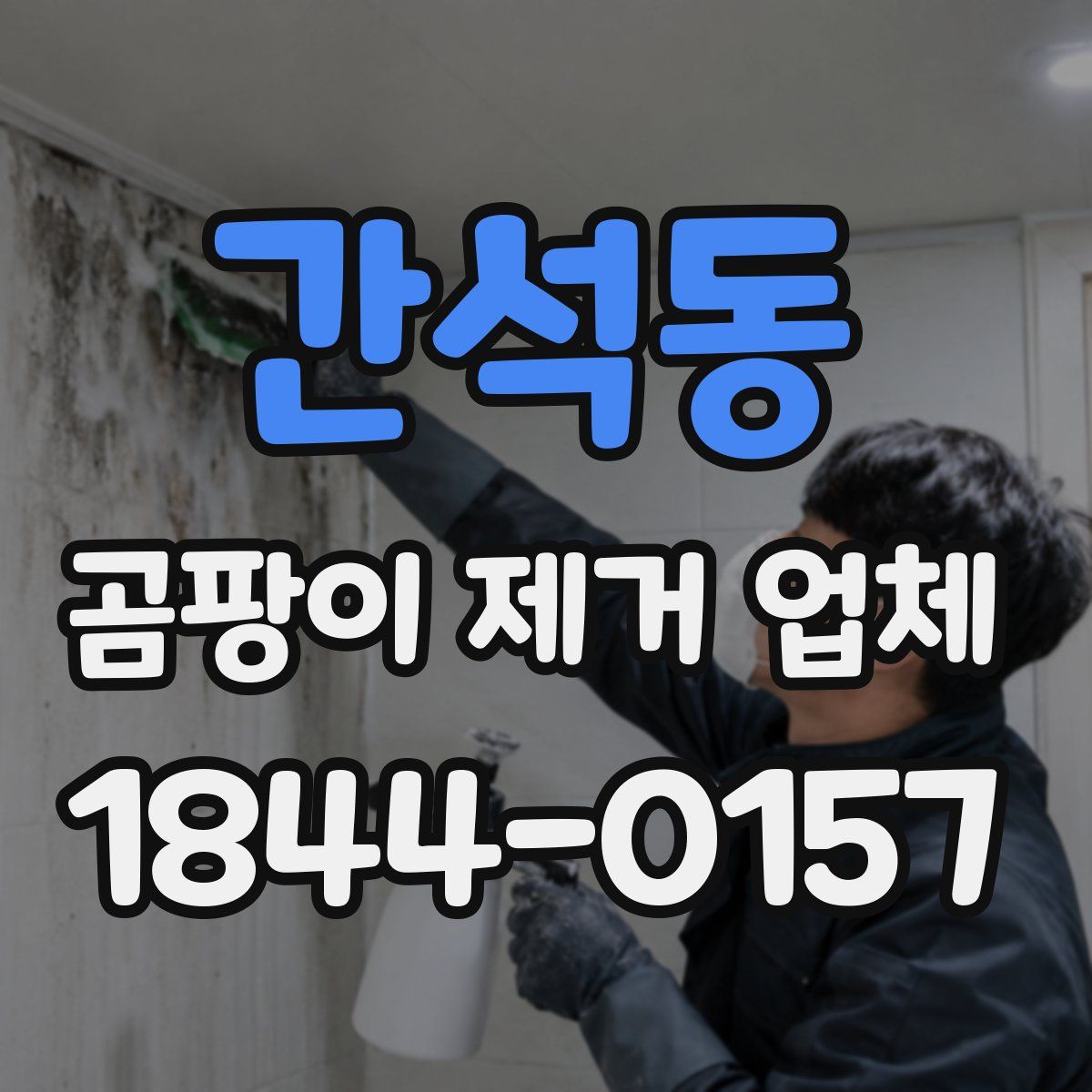 간석동 곰팡이 제거 업체