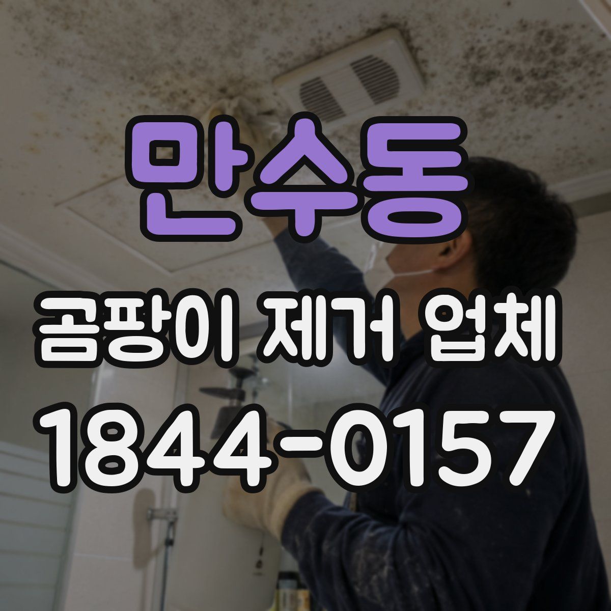 만수동 곰팡이 제거 업체