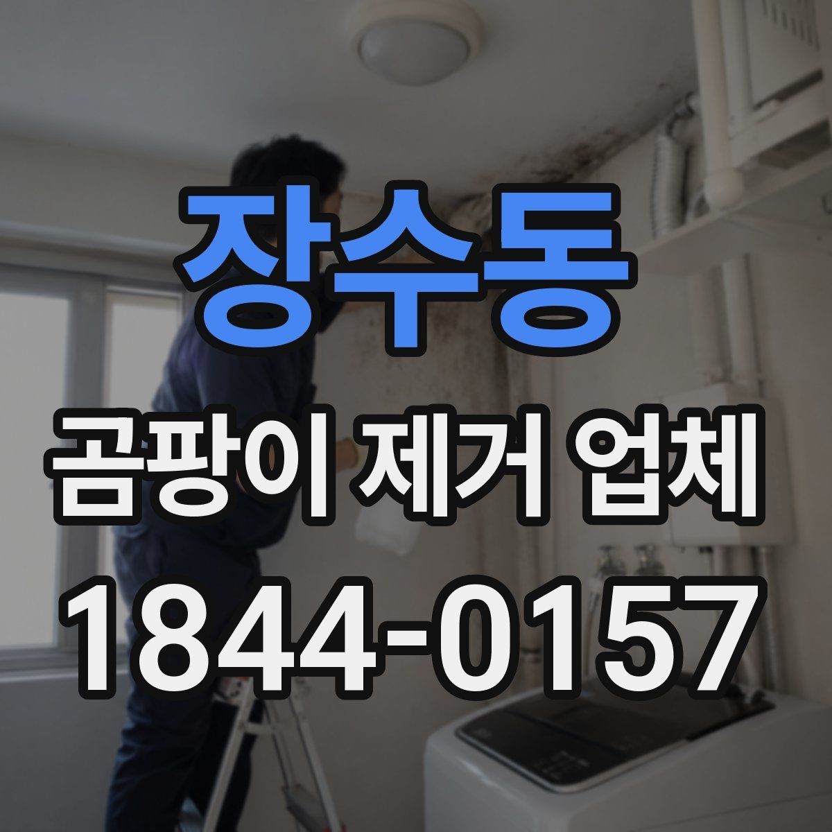 장수동 곰팡이 제거 업체 창호 주변 오염이 반복되는 원인과 대응