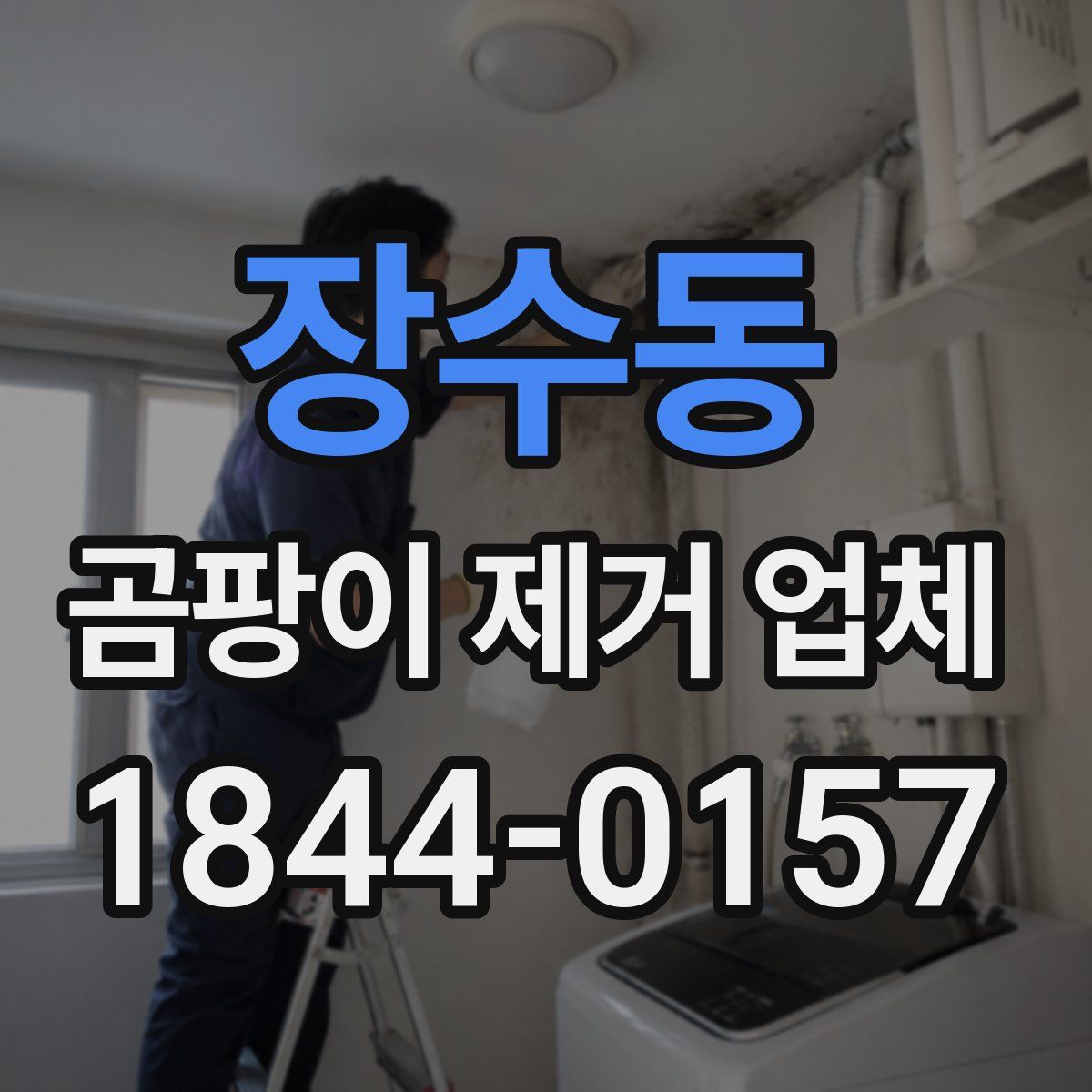 장수동 곰팡이 제거 업체