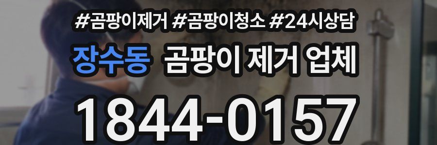 장수동 곰팡이 제거 업체