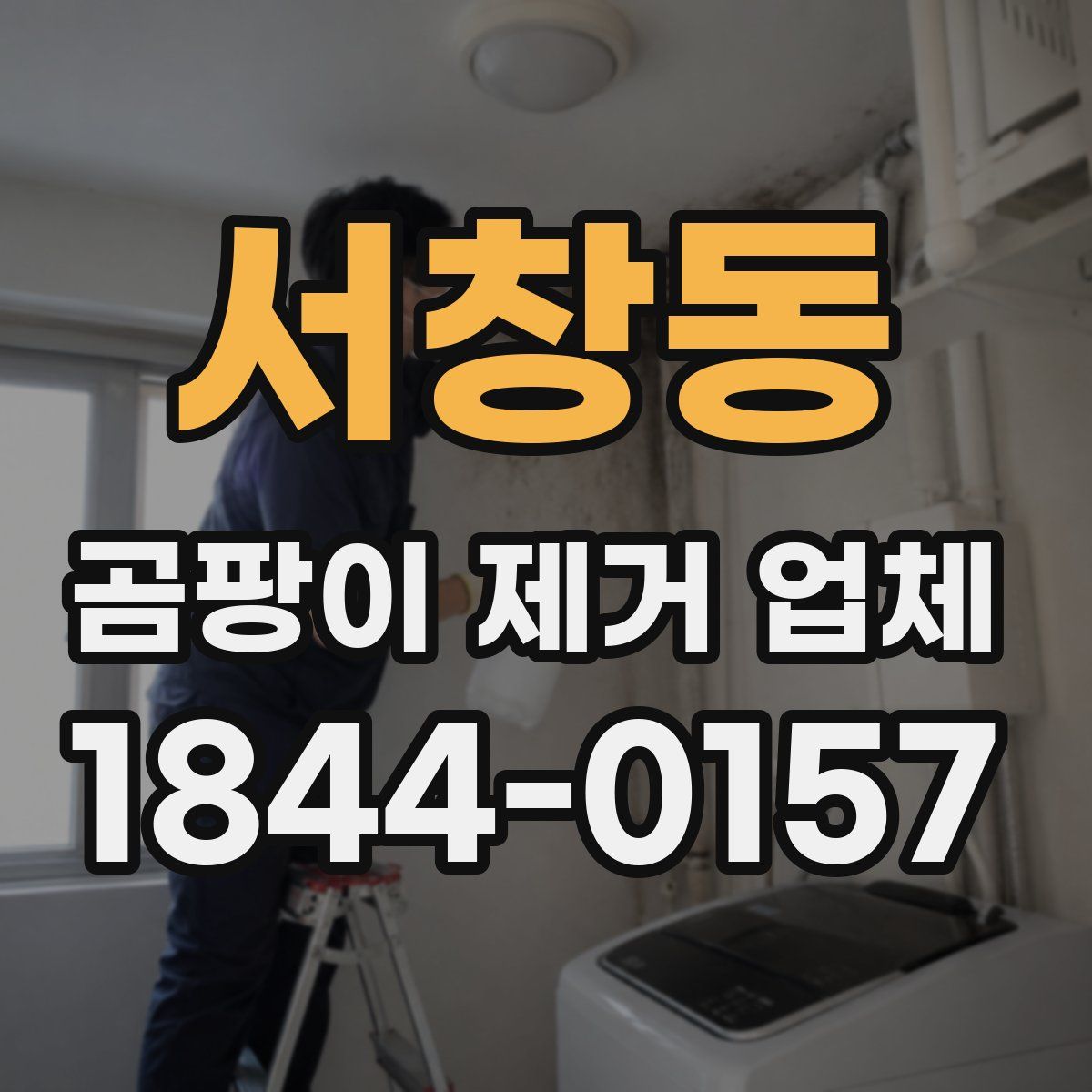 서창동 곰팡이 제거 업체