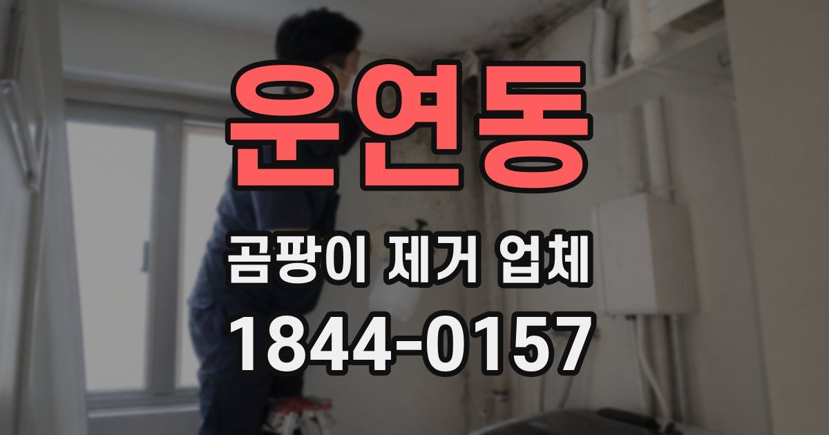운연동 곰팡이 제거 업체