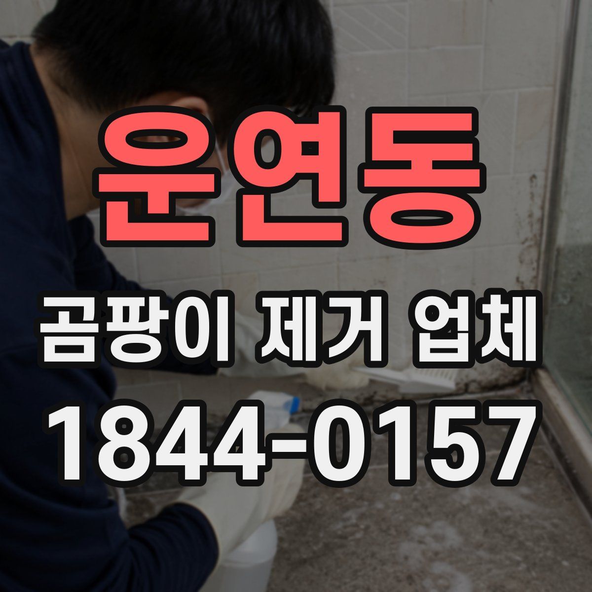 운연동 곰팡이 제거 업체