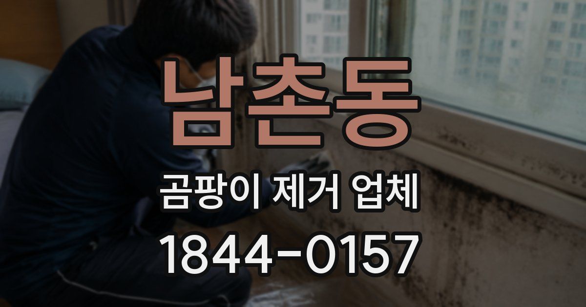 남촌동 곰팡이 제거 업체