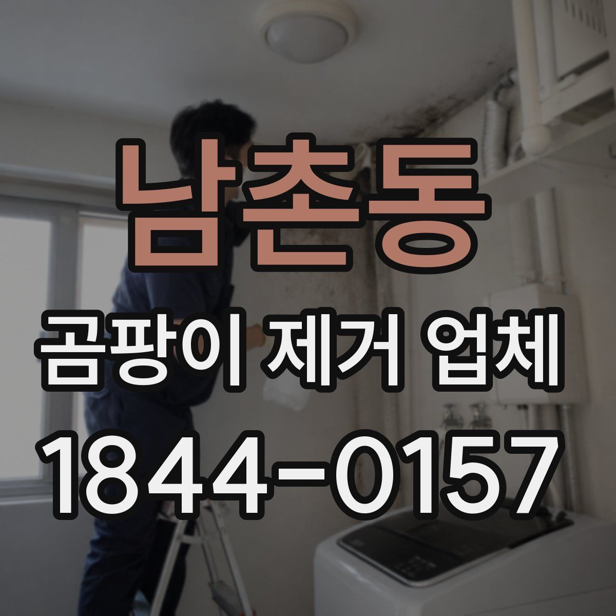 남촌동 곰팡이 제거 업체