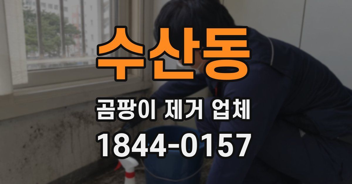 수산동 곰팡이 제거 업체