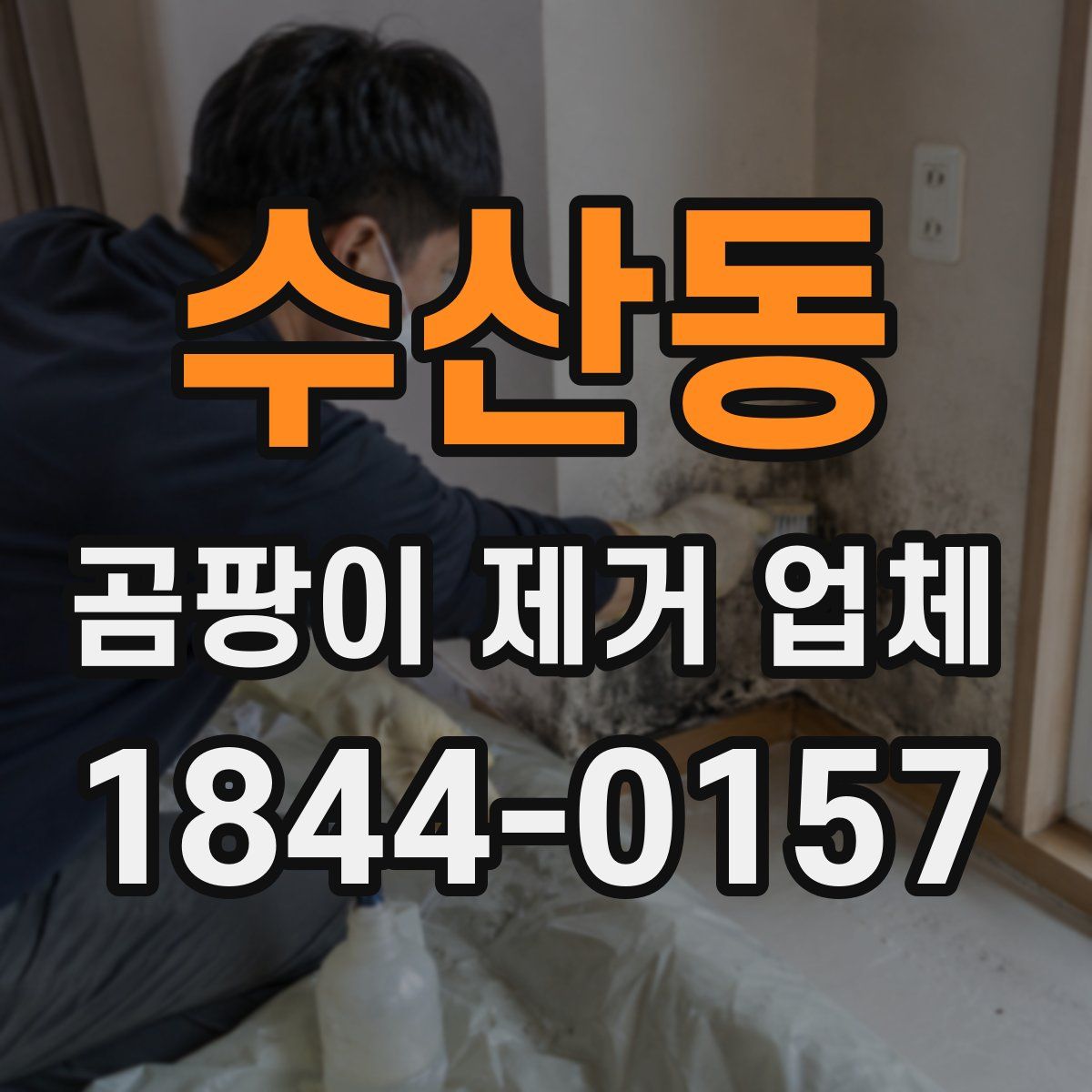 수산동 곰팡이 제거 업체